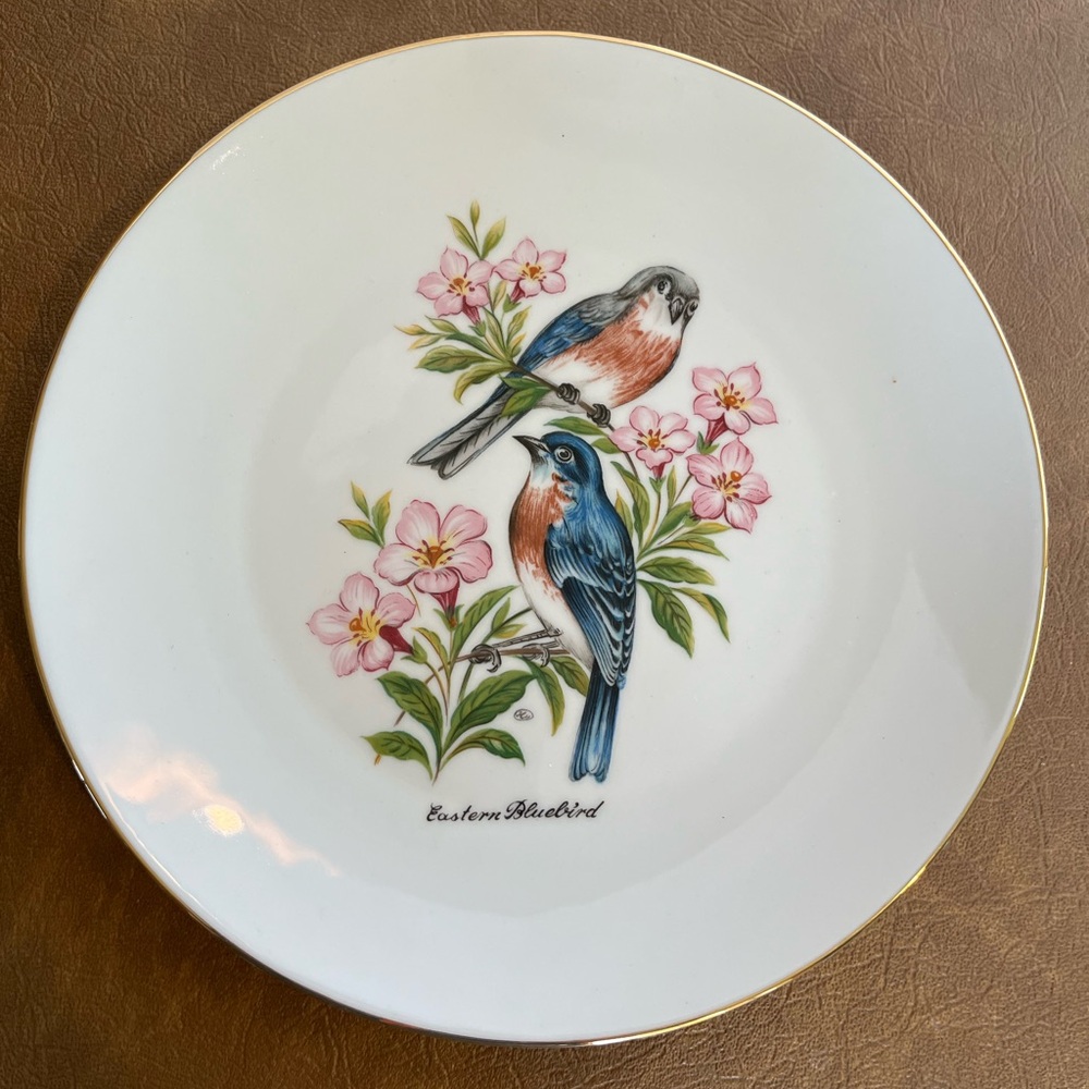 Vintage Set of Six Bareuther Waldsassen Porcelain Plates Featuring Birds - Picture 2 of 10